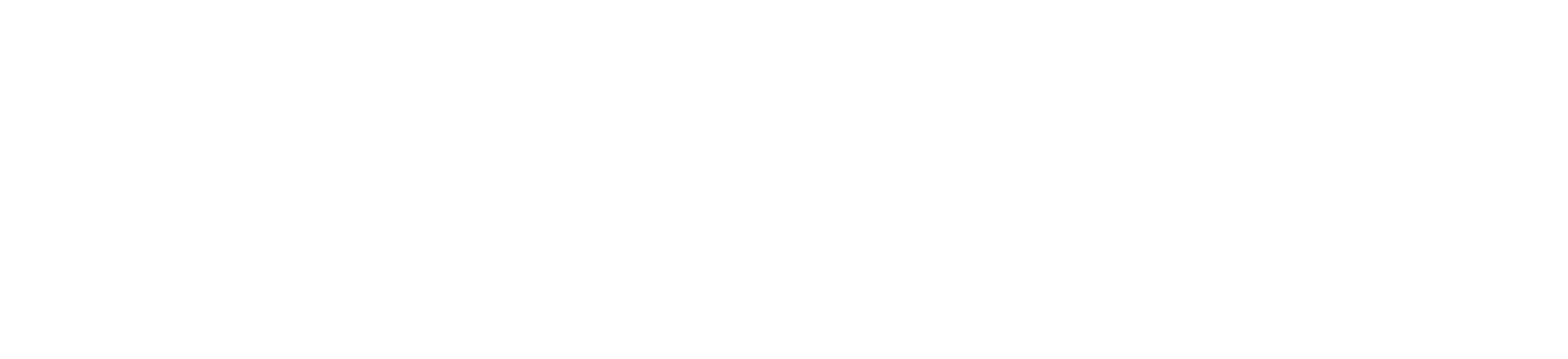 caribe media